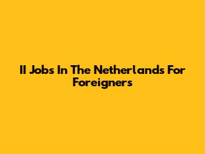 II Jobs In The Netherlands For Foreigners