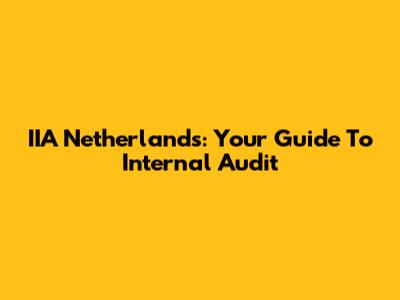 IIA Netherlands: Your Guide To Internal Audit