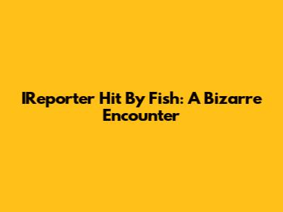 IReporter Hit By Fish: A Bizarre Encounter
