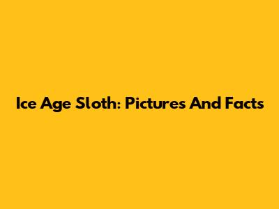 Ice Age Sloth: Pictures And Facts
