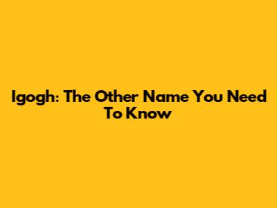 Igogh: The "Other Name" You Need To Know