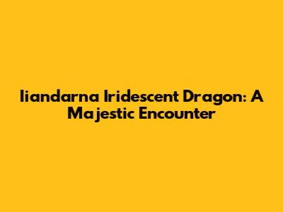 Iiandarna Iridescent Dragon: A Majestic Encounter