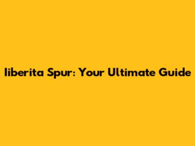Iiberita Spur: Your Ultimate Guide