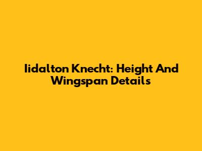 Iidalton Knecht: Height And Wingspan Details