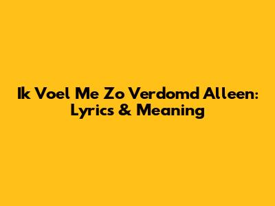 Ik Voel Me Zo Verdomd Alleen: Lyrics & Meaning