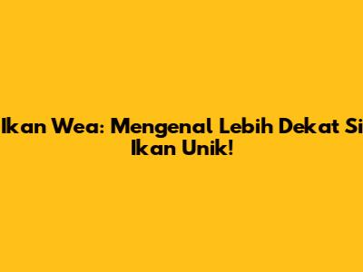Ikan Wea: Mengenal Lebih Dekat Si Ikan Unik!