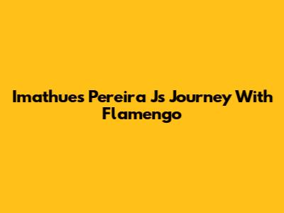 Imathues Pereira J's Journey With Flamengo