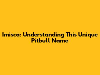 Imisca: Understanding This Unique Pitbull Name