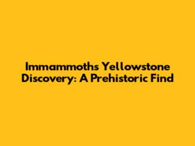 Immammoth's Yellowstone Discovery: A Prehistoric Find