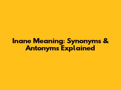 Inane Meaning: Synonyms & Antonyms Explained