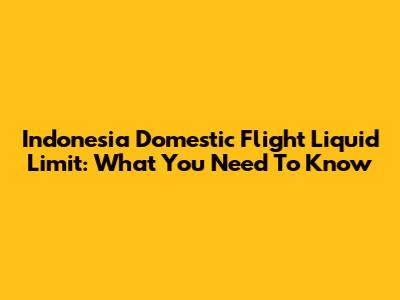 Indonesia Domestic Flight Liquid Limit: What You Need To Know
