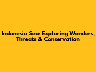 Indonesia Sea: Exploring Wonders, Threats & Conservation