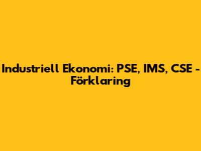Industriell Ekonomi: PSE, IMS, CSE - Förklaring