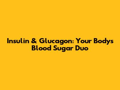 Insulin & Glucagon: Your Body's Blood Sugar Duo