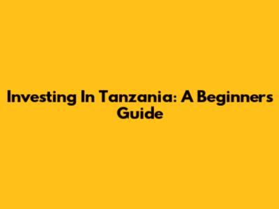 Investing In Tanzania: A Beginner's Guide