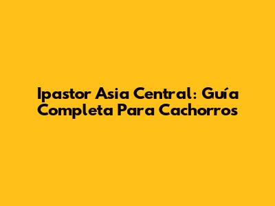 Ipastor Asia Central: Guía Completa Para Cachorros