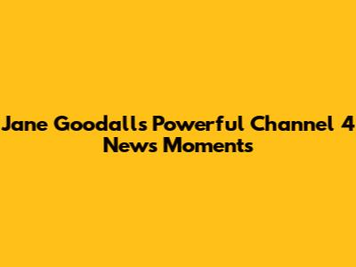 Jane Goodall's Powerful Channel 4 News Moments