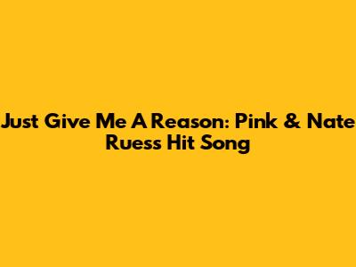 Just Give Me A Reason: Pink & Nate Ruess' Hit Song