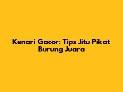 Kenari Gacor: Tips Jitu Pikat Burung Juara