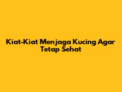 Kiat-Kiat Menjaga Kucing Agar Tetap Sehat