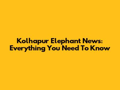 Kolhapur Elephant News: Everything You Need To Know