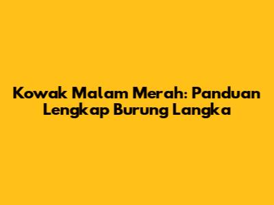 Kowak Malam Merah: Panduan Lengkap Burung Langka