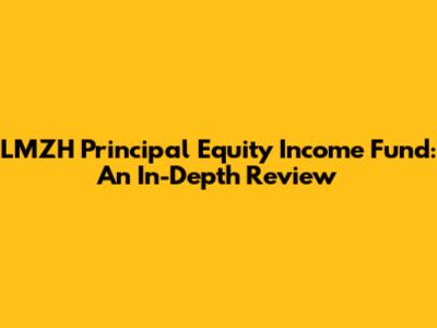 LMZH Principal Equity Income Fund: An In-Depth Review