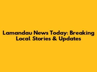 Lamandau News Today: Breaking Local Stories & Updates