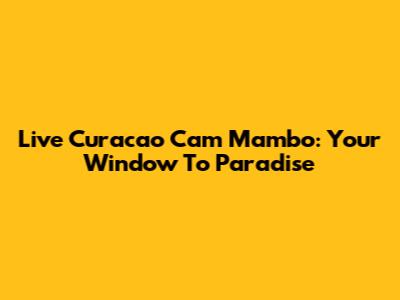 Live Curacao Cam Mambo: Your Window To Paradise