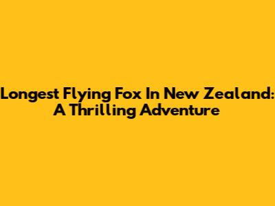 Longest Flying Fox In New Zealand: A Thrilling Adventure