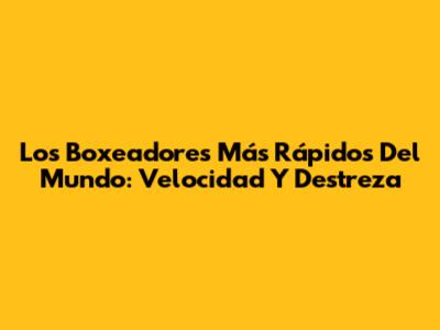 Los Boxeadores Más Rápidos Del Mundo: Velocidad Y Destreza