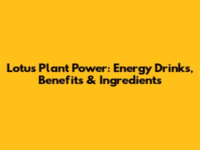 Lotus Plant Power: Energy Drinks, Benefits & Ingredients