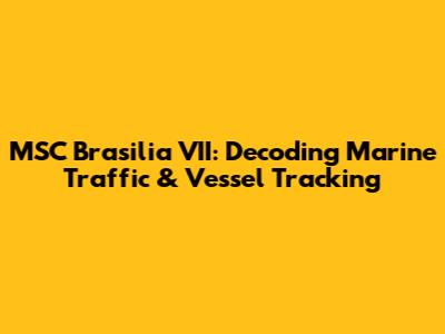 MSC Brasilia VII: Decoding Marine Traffic & Vessel Tracking