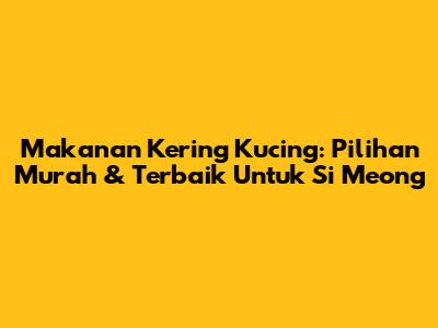 Makanan Kering Kucing: Pilihan Murah & Terbaik Untuk Si Meong