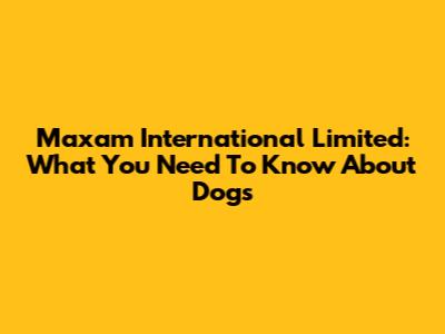 Maxam International Limited: What You Need To Know About Dogs