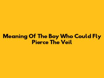 Meaning Of 'The Boy Who Could Fly Pierce The Veil'
