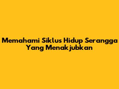 Memahami Siklus Hidup Serangga Yang Menakjubkan