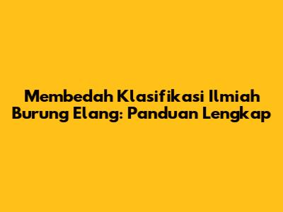 Membedah Klasifikasi Ilmiah Burung Elang: Panduan Lengkap
