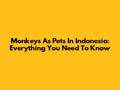 Monkeys As Pets In Indonesia: Everything You Need To Know