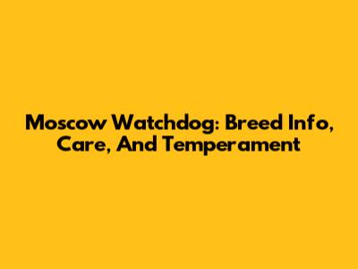 Moscow Watchdog: Breed Info, Care, And Temperament