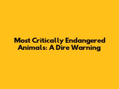 Most Critically Endangered Animals: A Dire Warning