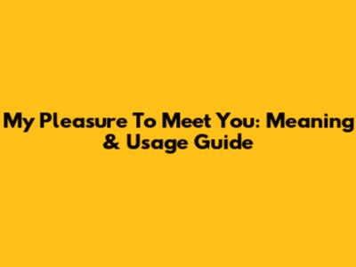 My Pleasure To Meet You: Meaning & Usage Guide