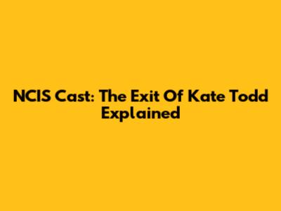 NCIS Cast: The Exit Of Kate Todd Explained