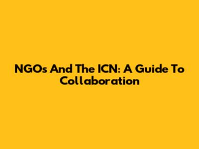 NGOs And The ICN: A Guide To Collaboration
