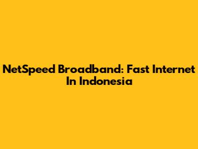 NetSpeed Broadband: Fast Internet In Indonesia