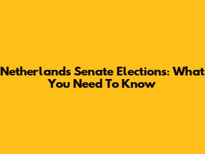 Netherlands Senate Elections: What You Need To Know