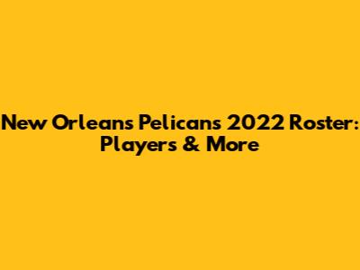 New Orleans Pelicans 2022 Roster: Players & More