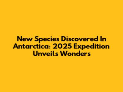 New Species Discovered In Antarctica: 2025 Expedition Unveils Wonders