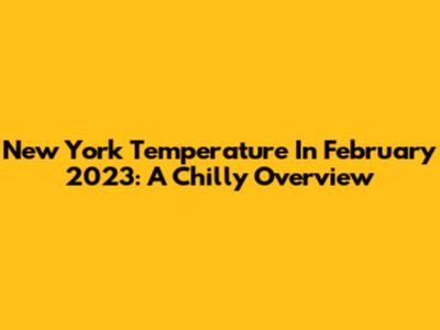 New York Temperature In February 2023: A Chilly Overview