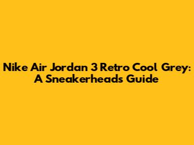 Nike Air Jordan 3 Retro Cool Grey: A Sneakerhead's Guide